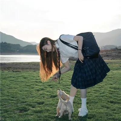 后宫之乌